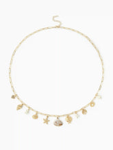 SHELL & STARFISH WAIST CHAIN