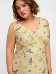 Fruit Checks V-neck Bowknot A-line Mini Dress Curve & Plus