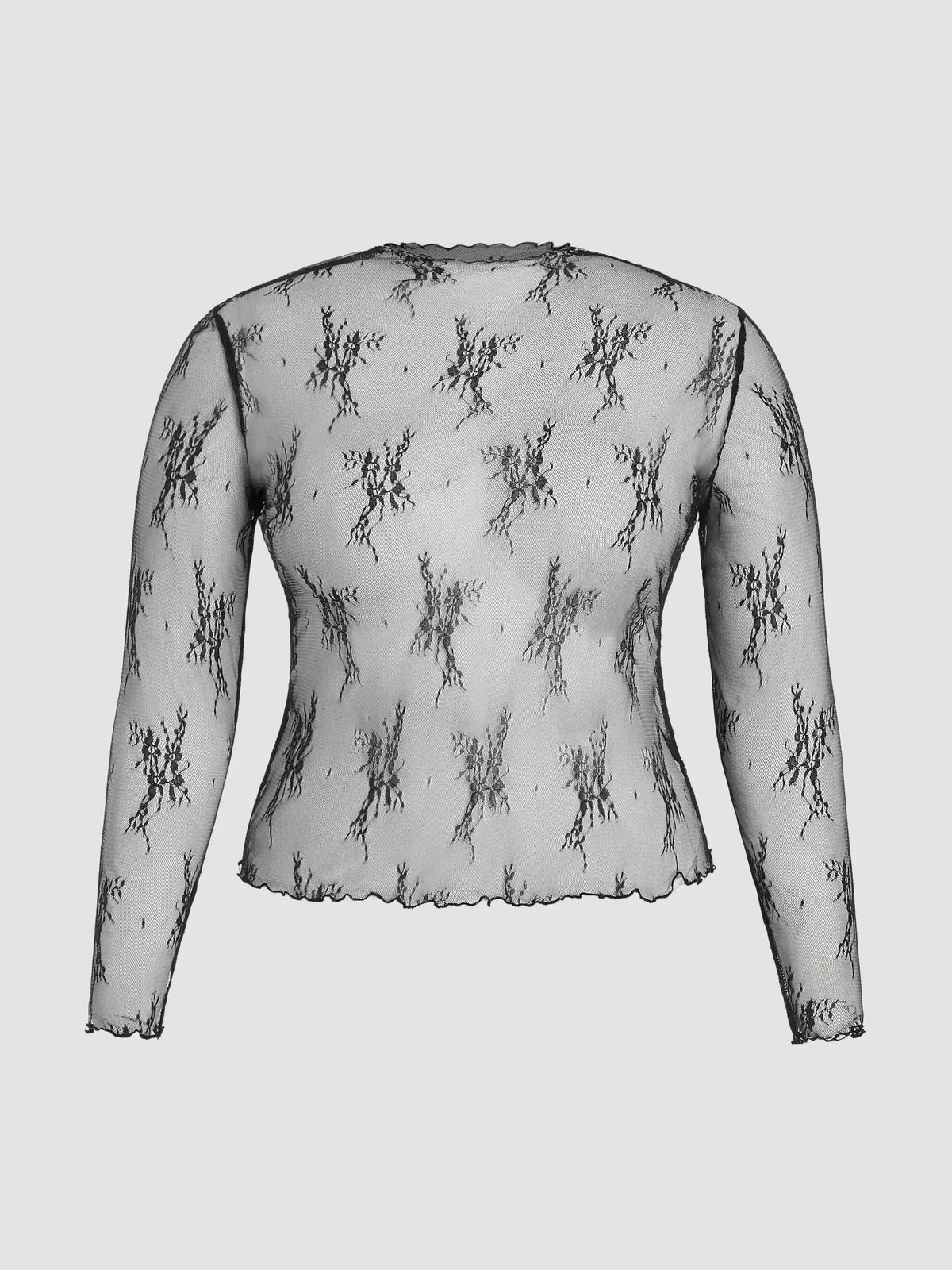 Lace Long Sleeve Top Curve & Plus