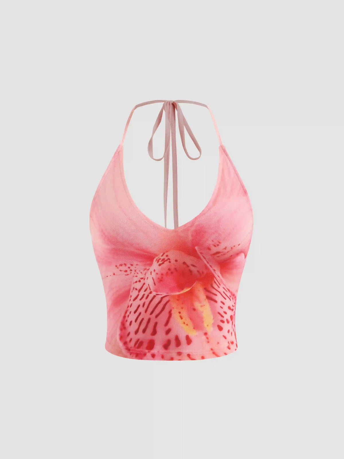 Mesh Halter Neckline Floral Knotted Crop Cami Top