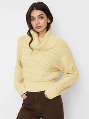 Cable Knit High Neck Long Sleeve Cinched Waist Top