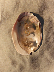 8 PCS SHELL & STARFISH & FLORAL RING SET